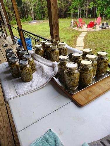 IMG_20250630_065519608_HDR