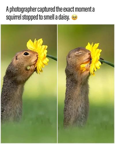 08:10:28 GMT-0700
