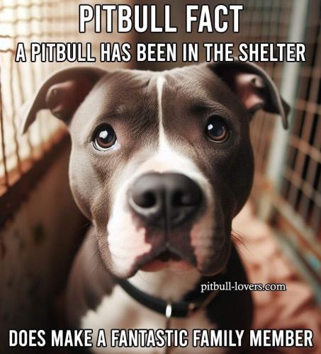 FB_IMG_1749322879801