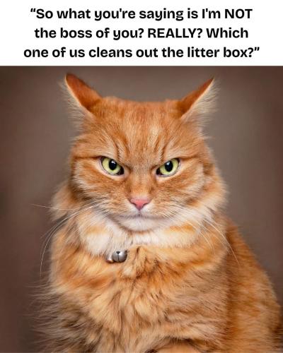 FB_IMG_1750369417718