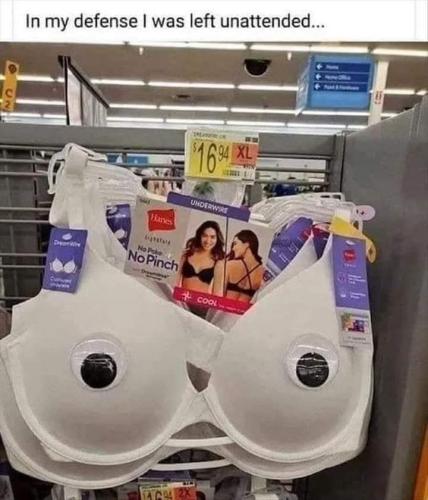 FB_IMG_1748779356631