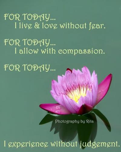 514319949_23951477404463194_5873593867869486725_n