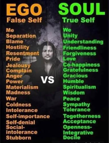 500098651_723566987226163_1423566738537579110_n