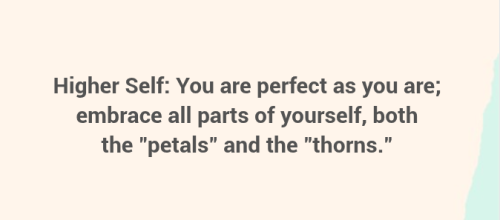 Screenshot 2025-06-12 11.08.57 AM