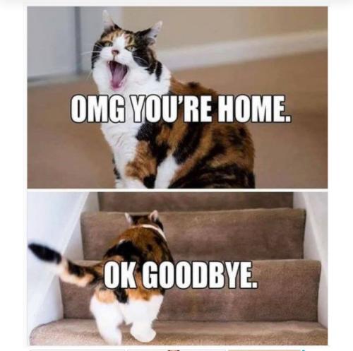 e3a4d38756bf2b1f2e730cb71c9c5751