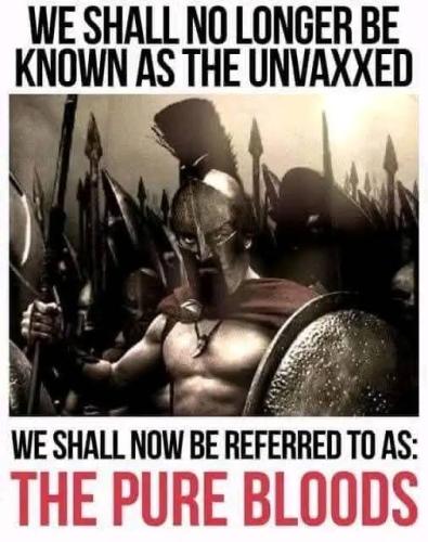 FB_IMG_1748807282851