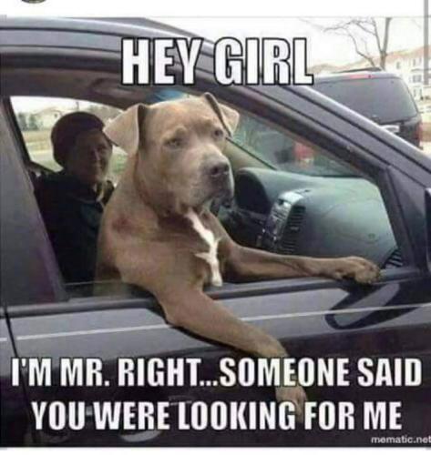 FB_IMG_1750703973036