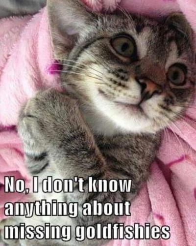 FB_IMG_1749730978906