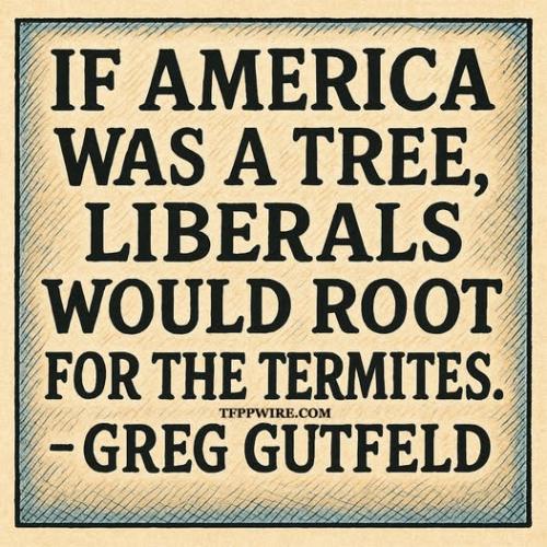 0000000000000000000000000000000000000000000000000000000000000000000000000000000000000000000000000000000000000000000000000000000000000000000000000000000000000000000000000000000000000000000000000000000000000bvo