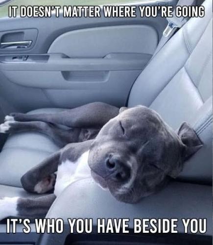 FB_IMG_1748709176561