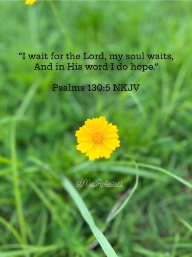 500653761_718941474410253_4203462403035240070_n