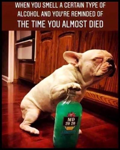 a0b025ca483d82543a3fd66df622d6a7