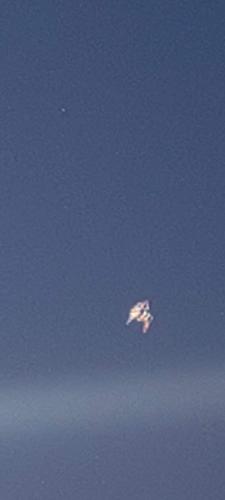 FB_IMG_1652386723905