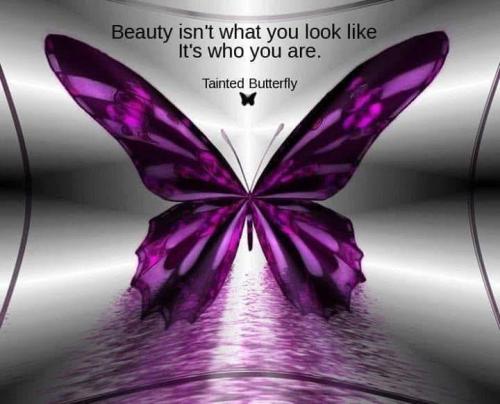 504710628_1248595229967942_1430744825440045445_n