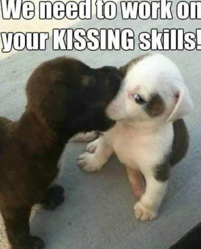 FB_IMG_1750764572940