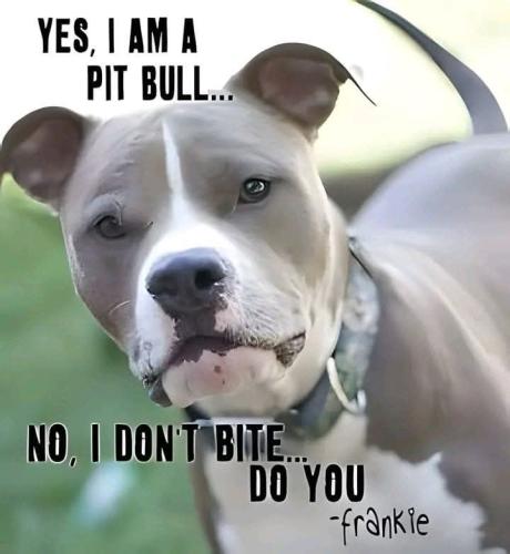 FB_IMG_1749031270594