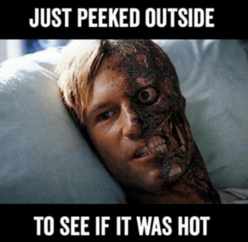 Screenshot_20250624_061958_Gallery