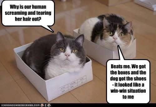 58ac22151f35b6878b1213883ba15554