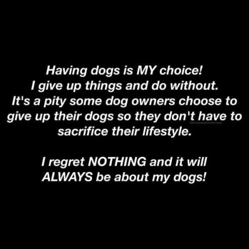 d733f19f85e26cd27f8da64639297a23