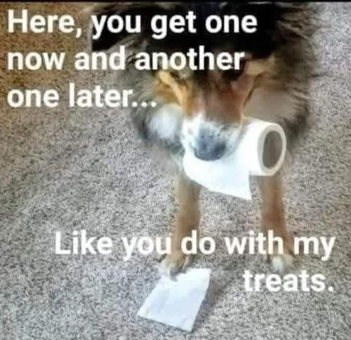 2c1cb5a7a88a7df0508e31cab74e93c2