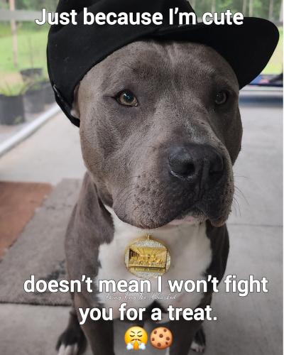 FB_IMG_1749031190595