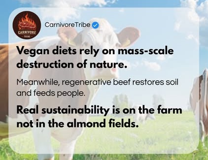 499810480_122132867462679996_8805621394279552983_n