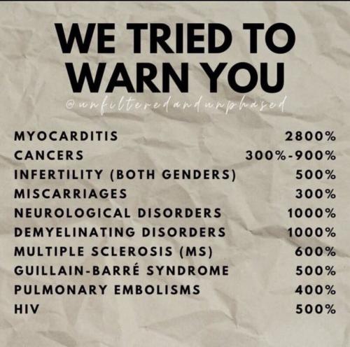 IMG_20250604_022707_371