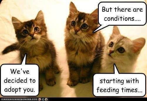 025b7dba213b3fcada6a41324a322605