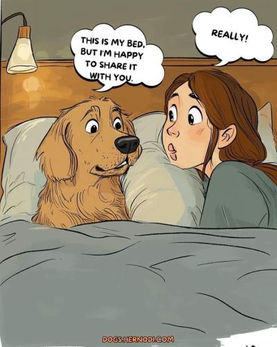 FB_IMG_1748803001040