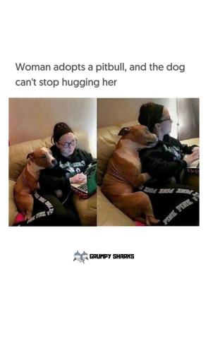 FB_IMG_1748787232823