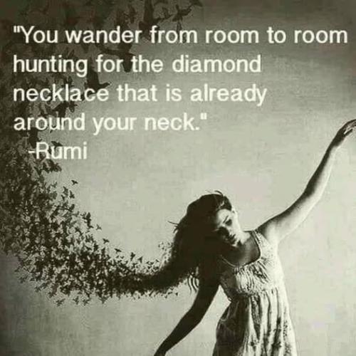 500089758_766447262371836_1310173411467001176_n