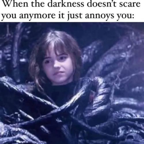 513076098_730897393159789_2481942829011675259_n