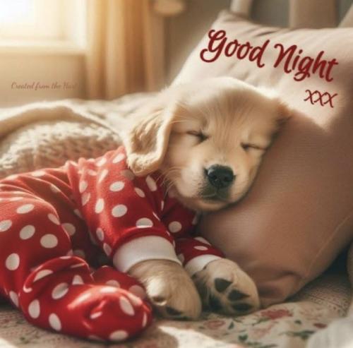 486417aac1a9c3c6300349bb515de577