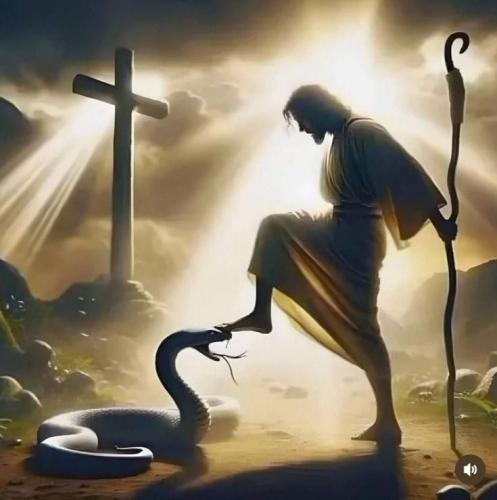 e8c533f07b1a9c843d2d482b161e73a1