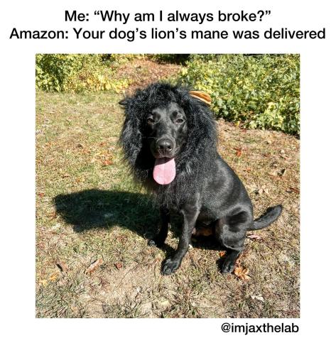 FB_IMG_1749930170012