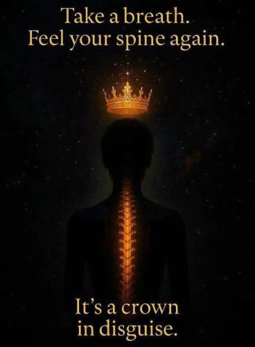 495576525_727654853484043_1227408772825367457_n