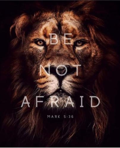 e20c0adb1426ecd94a1a51a182a987d4