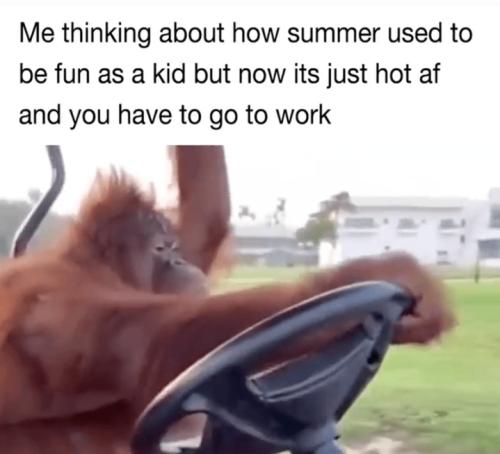 Screenshot_20250623_064021_Gallery