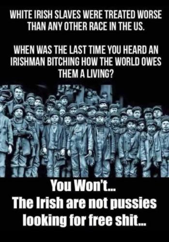 5d57ab6d5fd67121d19c3ee6f071801e_1024