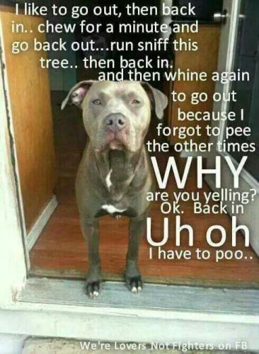 65a29a50a365afab1aa5a7293e12ab81