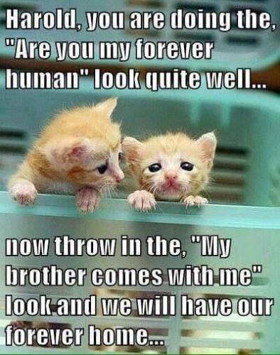 9e1e1c8f5c3676b148d615b9917153ce