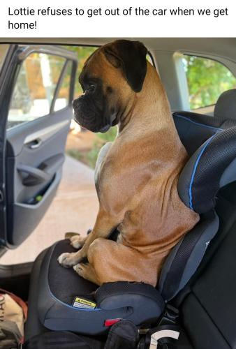 Screenshot_20250614_141204_Facebook_resized