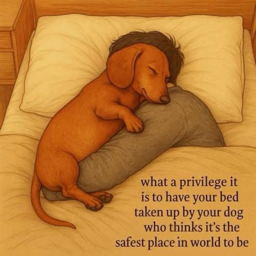 ce7930e4a5ec223a884d8639a993d069