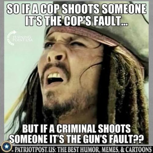 Gun's Fault