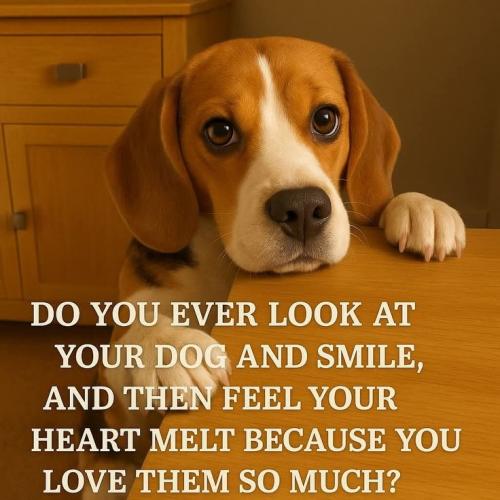 a6b3858d3df6337ccba420dc3c74cd6c