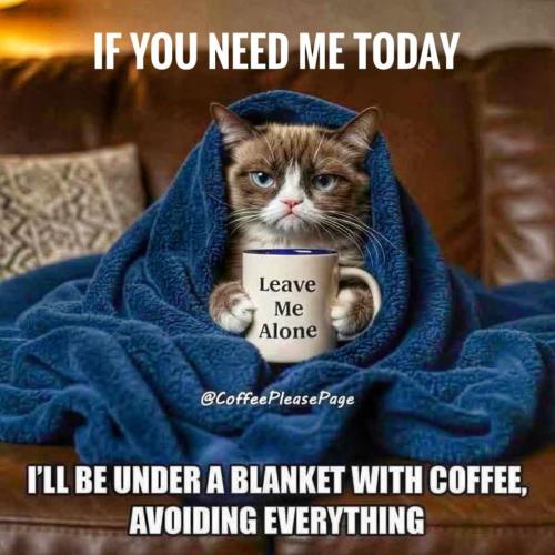 FB_IMG_1750353038885