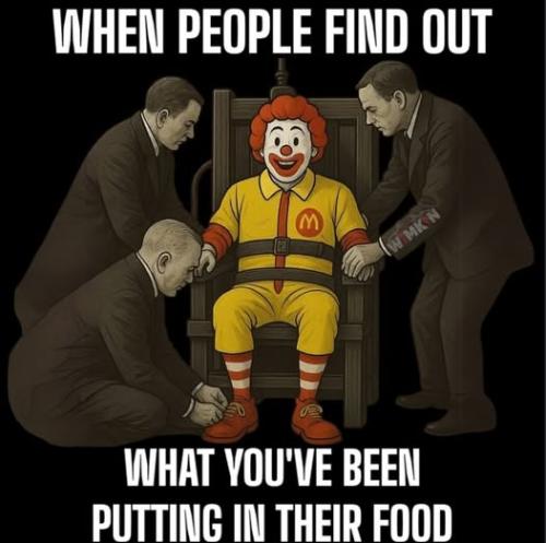 487936115_982394010747739_4770220450595165811_n