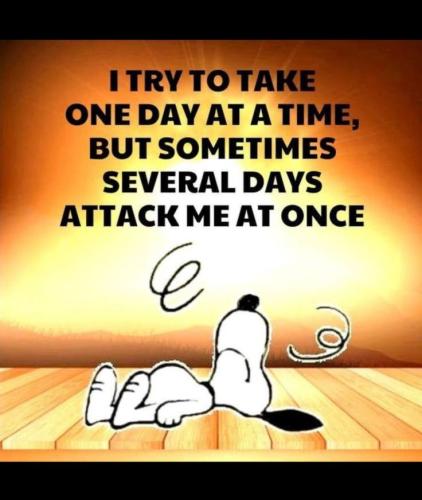 264f5909f132997ff478580e1f1ca645