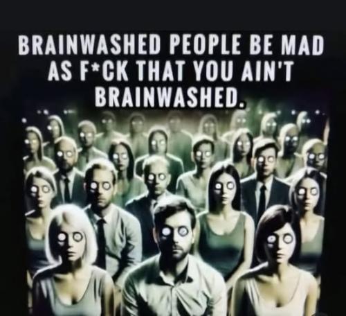 501085034_1239330461197541_8751307183791049477_n