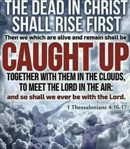 Screenshot_20250629_140833_Chrome